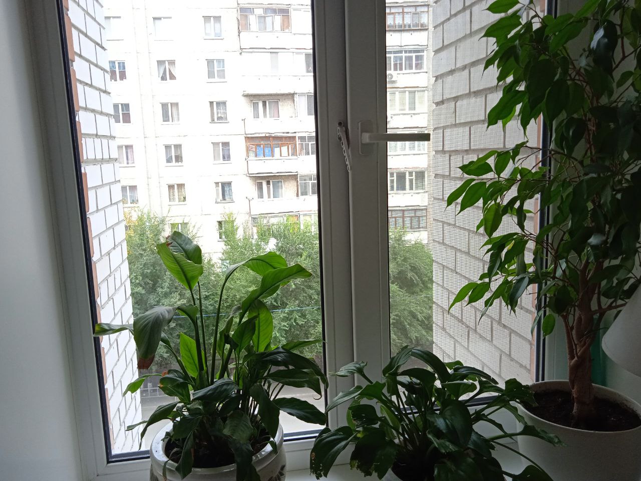 https://evpatoriya.delaem-okna.ru/storage/app/uploads/public/63f/332/8c0/63f3328c0d6f7867060515.jpg